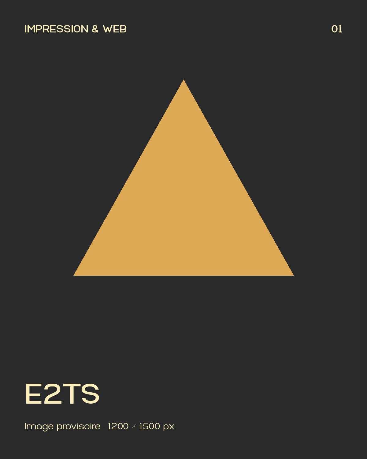 E2TS, supports imprimés