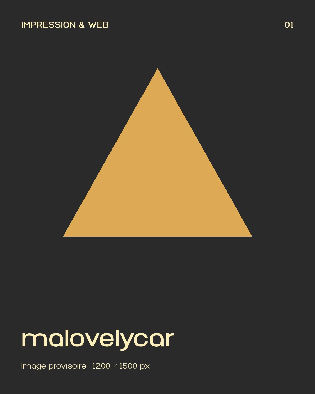 malovelycar, impression et réseaux sociaux